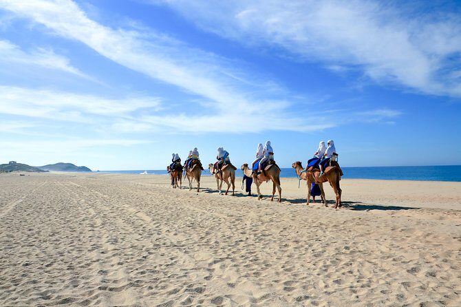 Outback Camel Ride - Lunch, Tortilla Making, and the Tequila-Mezcal Portion