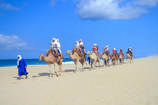 Outback Camel Ride - Free Time at the Ranch: Explore the Recycling, Cacao, and Farm Areas