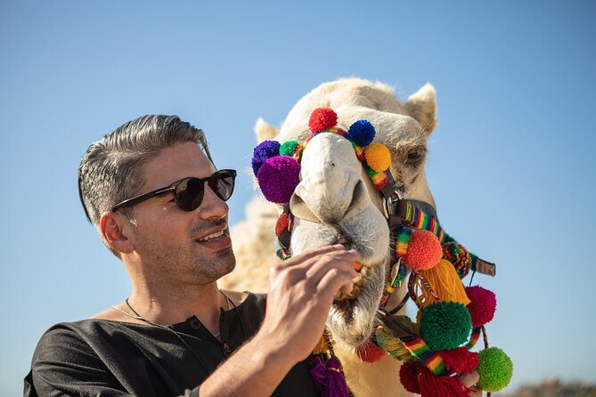 Outback Camel Ride - Price and Value: Is $109 a Good Deal in Cabo?