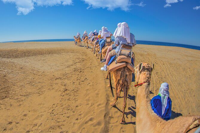 Outback Camel Ride - Who This Camel Ride Suits Best (And Who Might Feel Frustrated)