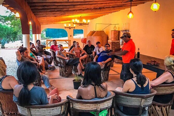 Outdoor and Zipline Adventure in Baja California - Repelling as a Bonus: A Surprise You May Actually Enjoy