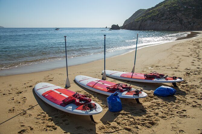 Paddleboard Expedition to the Arch of Cabo San Lucas, Lovers Beach & Snorkel - Price and Value: When $90 Makes Sense (and When It Might Not)