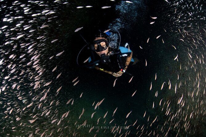 PADI Open Water Course in Cabo San Lucas - Key Highlights at a Glance