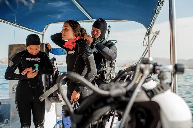 PADI Open Water Course in Cabo San Lucas - Cabo San Lucas Is a Great Place to Learn Scuba Skills