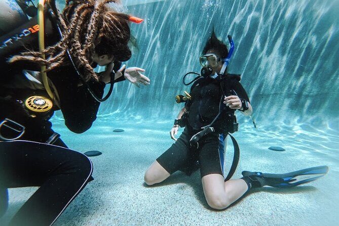 PADI Open Water Course in Cabo San Lucas - The Two-Day PADI Open Water Timeline (Theory to Open-Water Sessions)