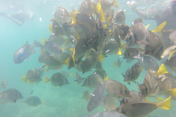 Pelican Rock Snorkeling and Sightseeing Adventure - Scenic stops around the bay: Lover’s Beach, Neptune finger, and the Arch