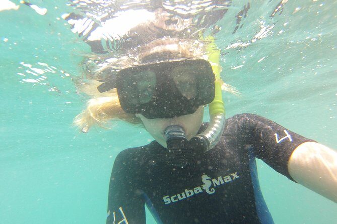 Pelican Rock Snorkeling and Sightseeing Adventure - Who rides well with this tour? Families, casual swimmers, and photographers