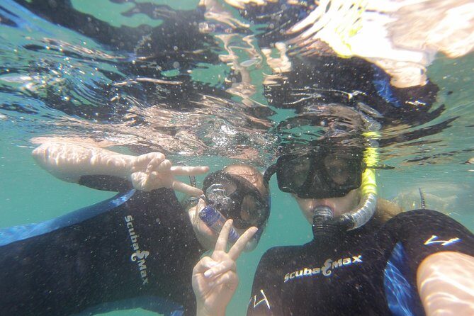 Pelican Rock Snorkeling and Sightseeing Adventure - Price and value: is $57 fair for 2 hours in Cabo?