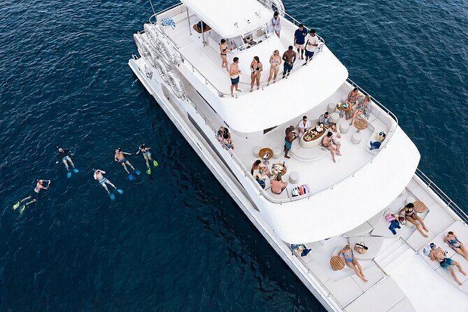 Premium Snorkel Catamaran Cruise in Los Cabos - Key highlights worth your attention