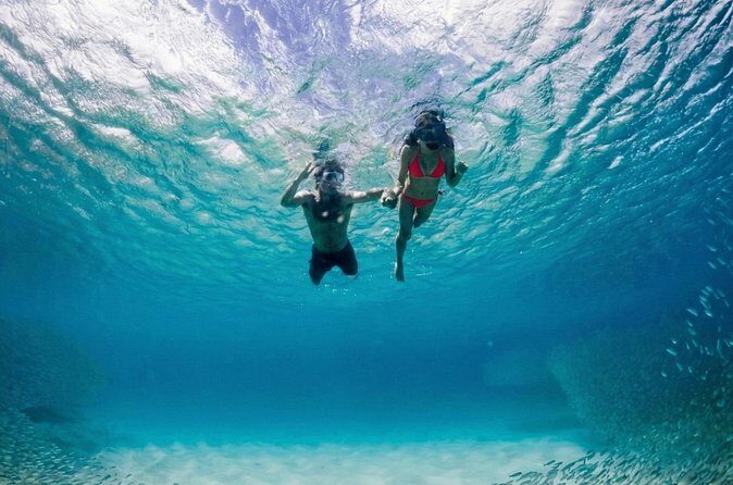 Premium Snorkel Catamaran Cruise in Los Cabos - Lunch onboard and the unlimited open bar (what it means for value)