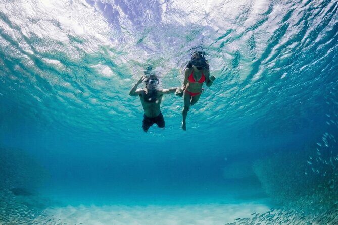 Premium Snorkel Catamaran Cruise in Los Cabos - The crew vibe: named hosts, music, and whale moments