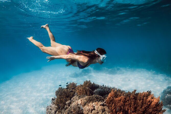 Premium Snorkel Catamaran Cruise in Los Cabos - Who this cruise is best for (and who should look elsewhere)