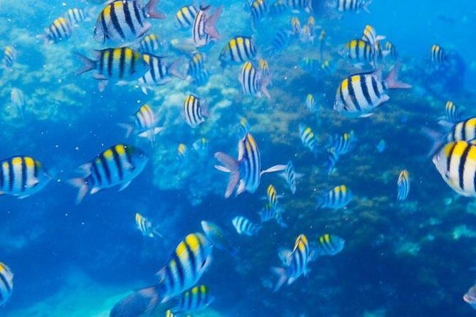 Private 3-Hour Snorkeling Tour with Arch Tour and Beach Time - Dock 1 meet-up: how to find the green gate fast