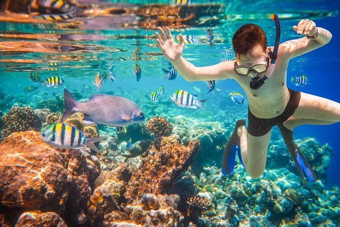 Private 3-Hour Snorkeling Tour with Arch Tour and Beach Time - El Arco on the water: the route with 9 named spots