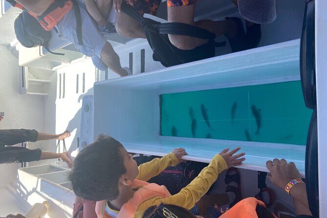 Private 3-Hour Snorkeling Tour with Arch Tour and Beach Time - Sea Lions Colony and Lover’s Beach: iconic stops with one real caveat