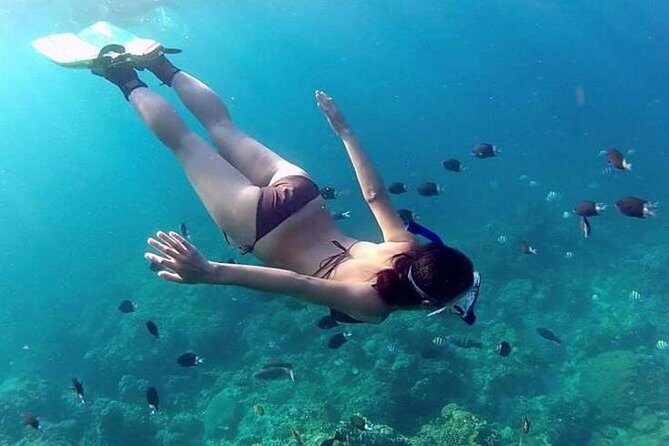 Private 3-Hour Snorkeling Tour with Arch Tour and Beach Time - Wildlife surprises: fish are likely, whales are possible