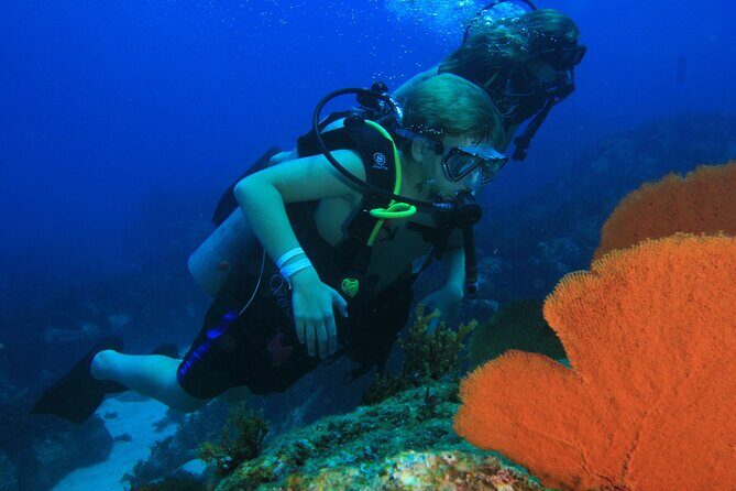 Private Beginner Scuba Diving Experience in Cabo San Lucas - Snacks, Water, and the Small Comforts That Keep You Focused
