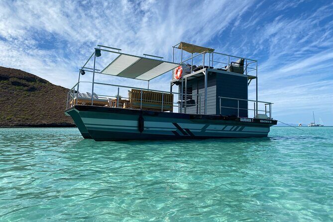Private Cabo 35ft cat experience Food and open bar included! - Pelican Rock: snorkeling, sea lions, and the main water-time window