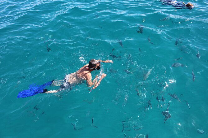 Private Cabo City Tour & Relaxing Beach Day Experience - Who should book this Cabo tour (and who might prefer something else)