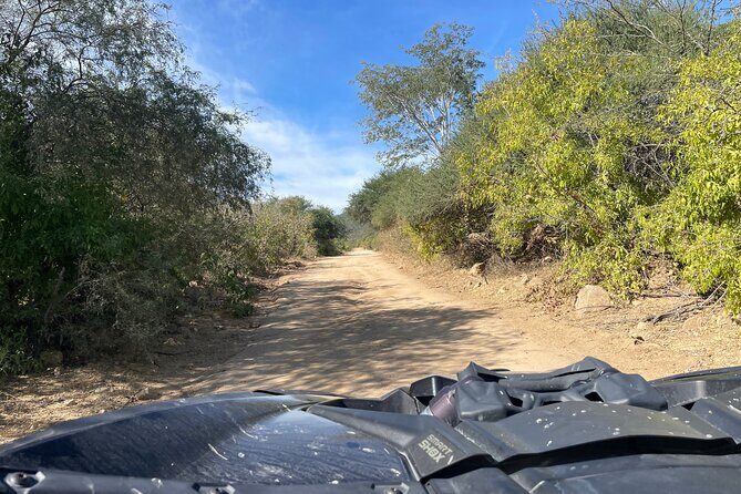 Private Can-Am Maverick X3 Off-Road Adventure in Cabo San Lucas - Pace, Comfort, and Who This Tour Fits Best