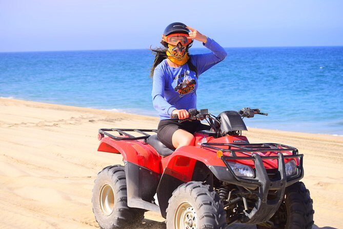 Private Can-am X3 turbo experience + Tequila Tasting - Wildlife and sea turtles: when Baja shows you the real thing