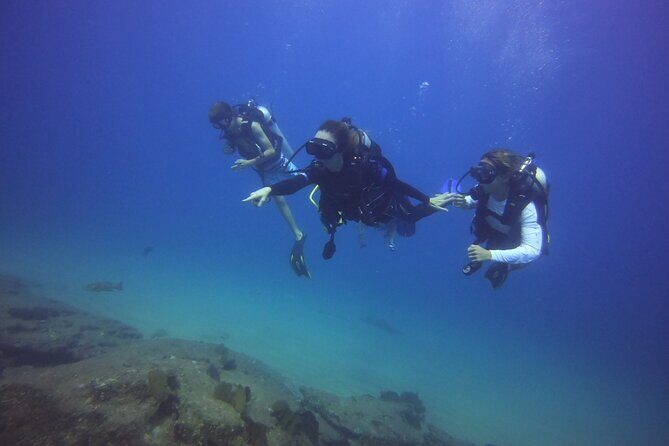 Private Dive Boat for Certified Divers - Cabo San Lucas - Choosing your underwater locations based on your experience