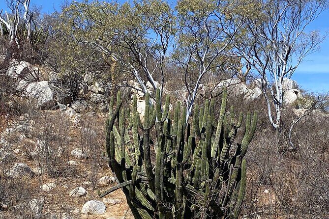 PRIVATE Fun Hiking Tour with Awesome Views - Price and Value: What $85 Buys You Here