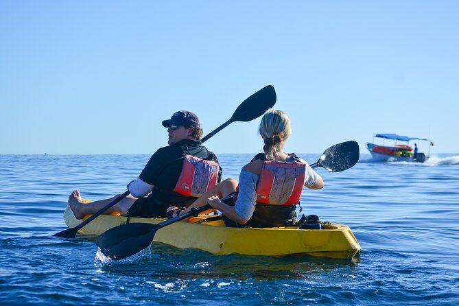 Private Glass bottom Kayak and snorkel at two Bays - Stop 3: Chileno Bay snorkel with a beach break