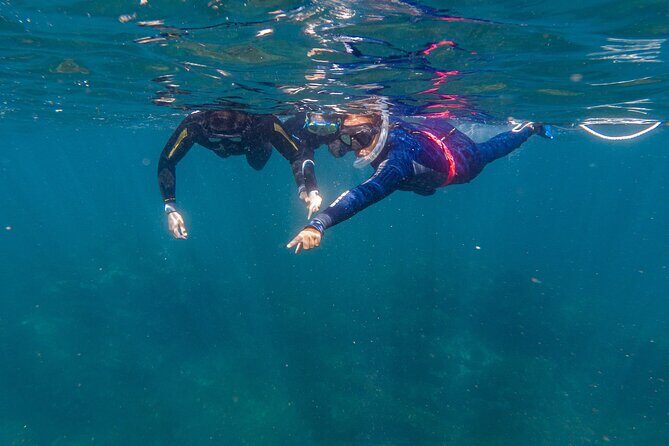 Private Guided Snorkeling in Cabo San Lucas - First Stop: El Arco Photo Time at Cabo San Lucas Arch