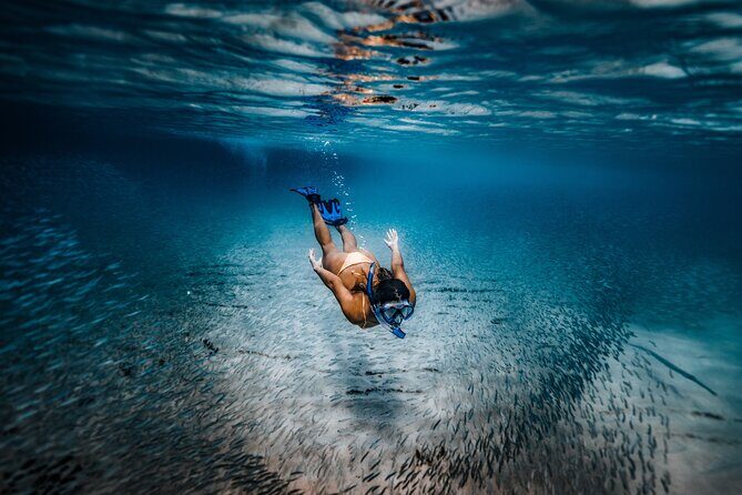 Private Guided Snorkeling in Cabo San Lucas - What the Underwater Time Is Like (and How to Get the Photos)