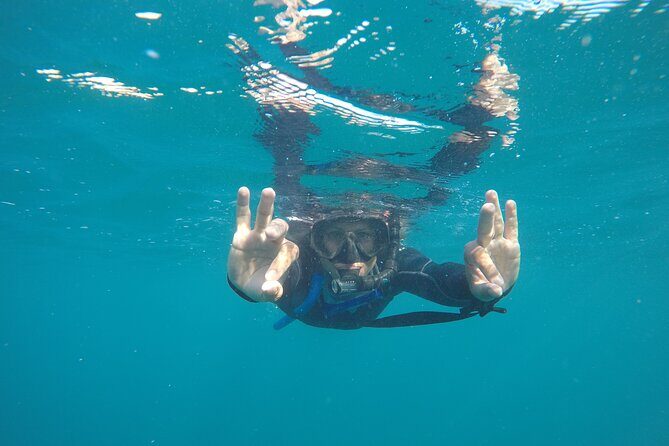 Private Guided Snorkeling in Cabo San Lucas - Price and Value: What $575 Really Means for a Group