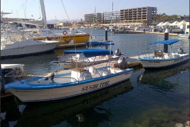 Private Half-Day Sport Fishing in Los Cabos - Private panga fishing in Cabo: what the half-day really feels like