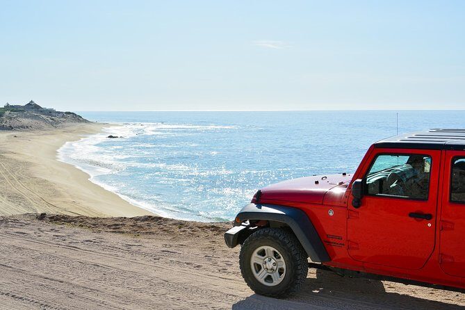 Private Jeep Tour Cabo Pulmo - Cabo Pulmo Marine Preserve: the snorkeling time that matters