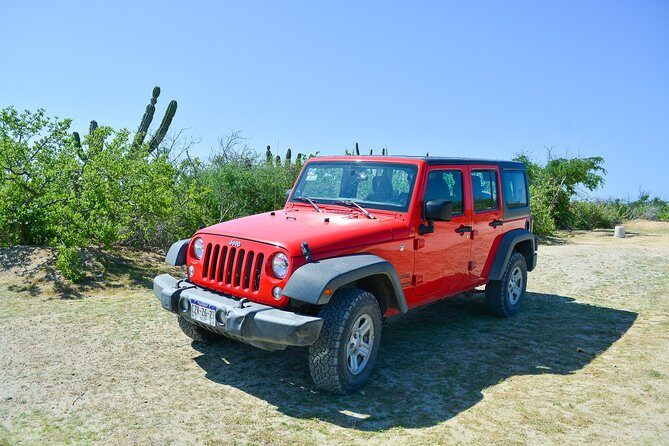 Private Jeep Tour Cabo Pulmo - Playa de Arbolitos snack break: small stop, smart pacing