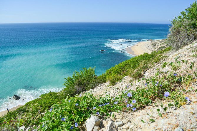 Private Jeep Tour Cabo Pulmo - Transpeninsular Highway return: what you’ll feel on the road