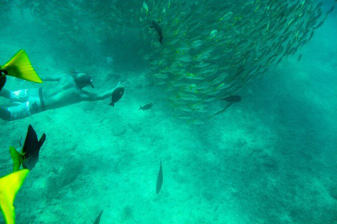 Private Los Cabos snorkeling tour to Chileno bay and Santa Maria cove - Gear, Wetsuits, and the Small Stuff That Saves Your Day