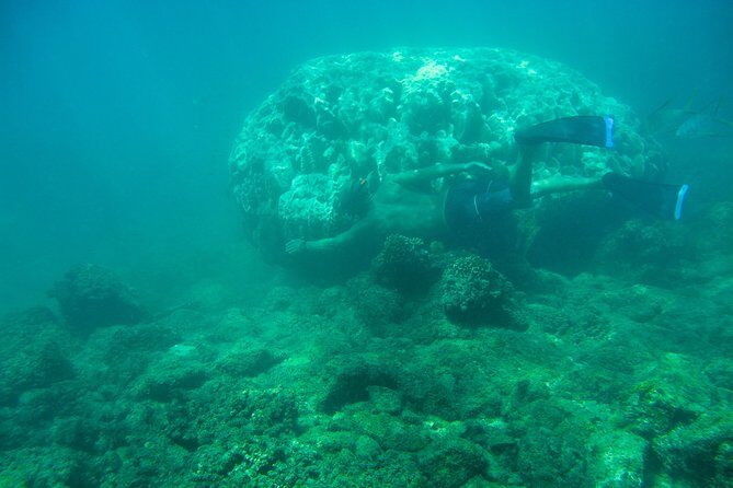 Private Los Cabos snorkeling tour to Chileno bay and Santa Maria cove - Price and Value: Is $125 Worth It?