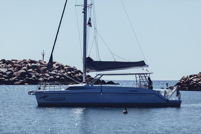 Private Luxury Adventure Tours in Cabo San Lucas - Price and value: what $149 per person really buys