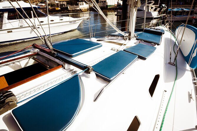 Private Sailboat tour in Cabo San Lucas with Papillon Yachts - Snorkeling and Stand-Up Paddleboards: The Included Activity Part