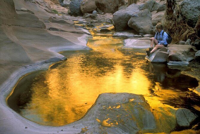 PRIVATE Sierra de Laguna Hiking & Natural Water Swim Waterfall - Why Sierra de la Laguna Is Worth a Half-Day from Cabo