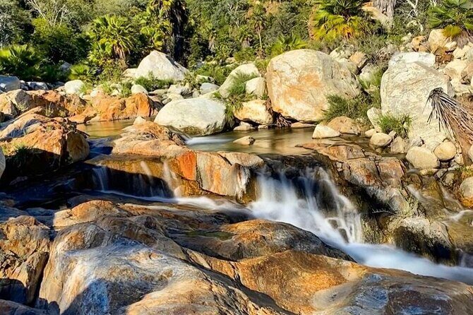PRIVATE Sierra de Laguna Hiking & Natural Water Swim Waterfall - Who This Tour Suits Best (and Who Might Prefer Something Else)