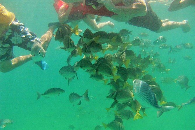 Private Snorkel Cruise in Cabo San Lucas - The 3-Hour Route: Lovers Beach, Pelican Rock, and the Arch