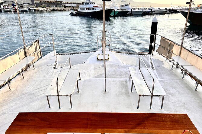 Private Snorkel Cruise in Cabo San Lucas - Snorkeling Gear Is Included, but Know What Can Affect Visibility