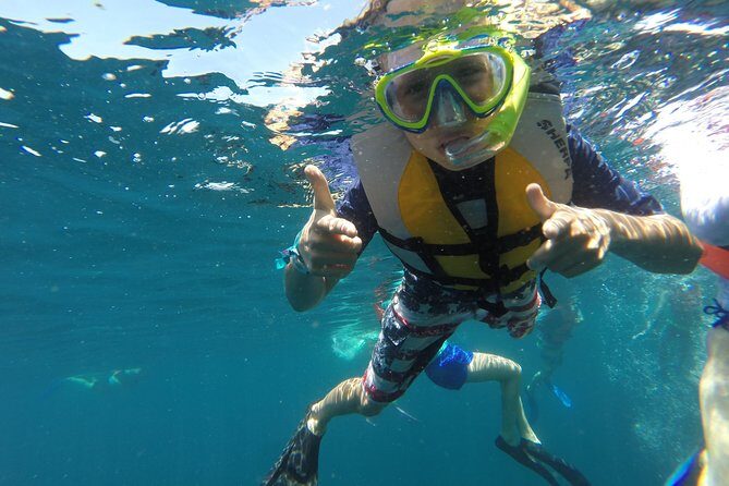 Private Snorkeling Tour in Cabo San Lucas - Getting started at CaboTrek (and why it’s good to know)