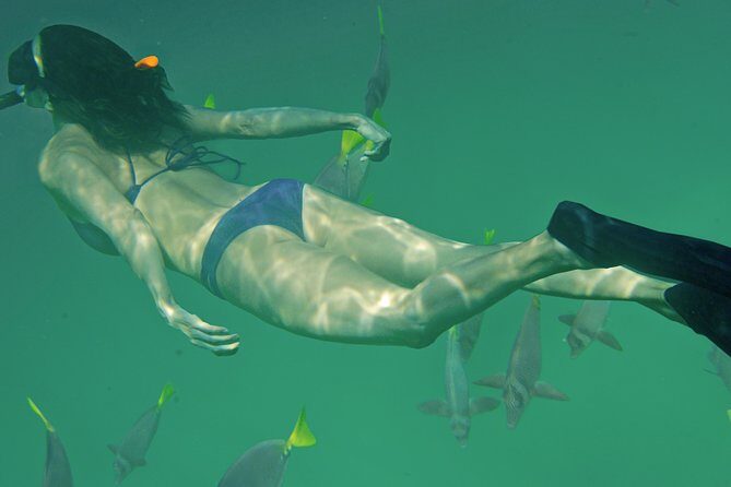 Private Snorkeling Tour in Cabo San Lucas - Your guide and captain: how the trip stays comfortable