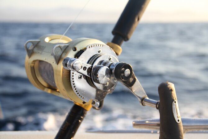 Private Sport Fishing Charter Experience in Cabo San Lucas (5 Hours) - Customizable to your group’s dream day