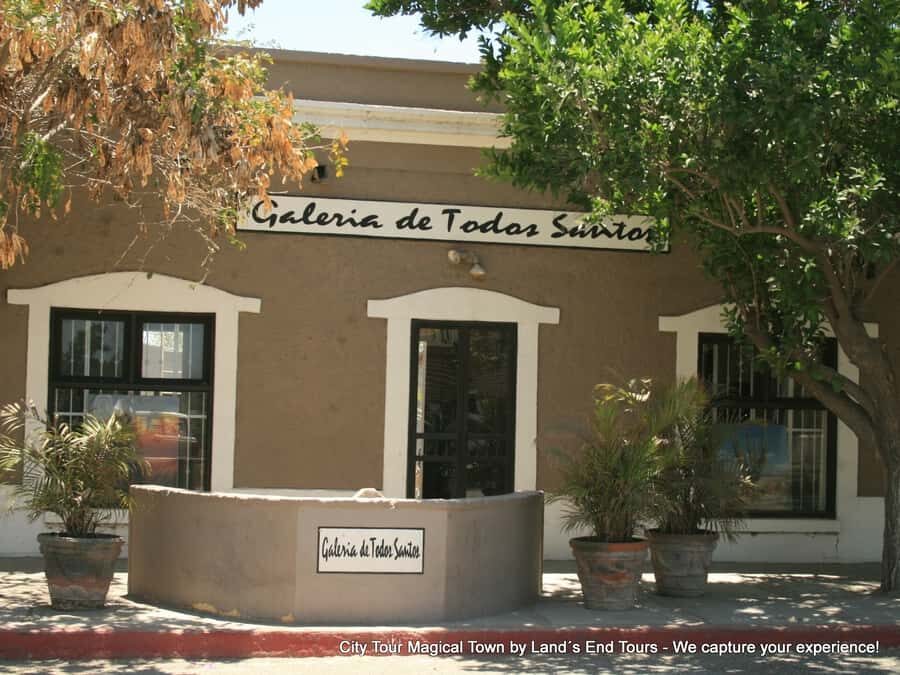 Private Tailor-Made Tour Todos Santos - Comfort, photo moments, and what to bring so everything runs smoothly