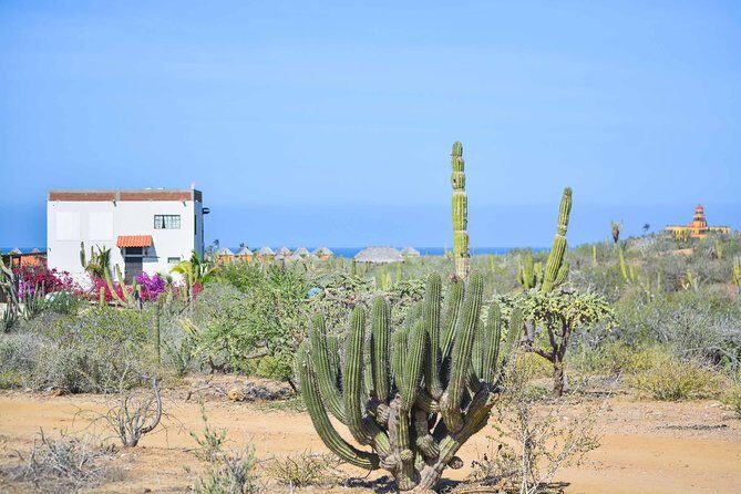 Private Todos Santos Jeep - Key things to know before you go