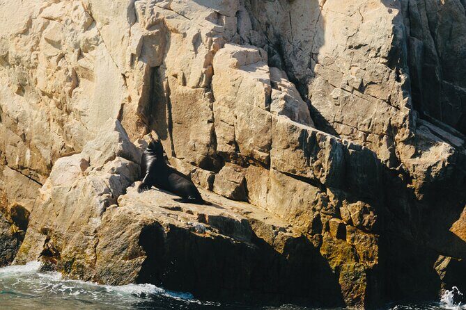 Private Tour to the Arch of Cabo San Lucas by Glass Bottom Boat - A smooth 1-hour route that respects your shore day