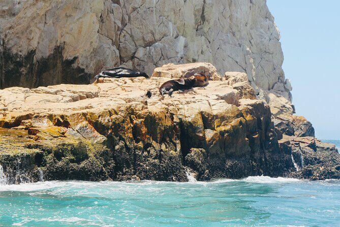 Private Tour to the Arch of Cabo San Lucas by Glass Bottom Boat - Price and value: what $239.11 per group really buys you